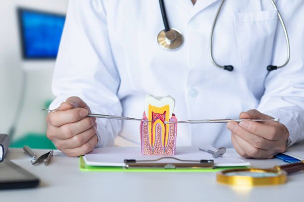 Best Tooth Pain Emergency Relief  in Norridge, IL